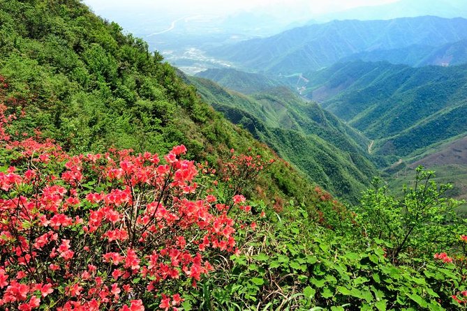 Private Tour: Yao Mountain and Tea Plantation from Guilin - Why this five-hour Guilin outing works
