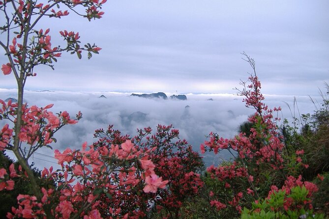 Private Tour: Yao Mountain and Tea Plantation from Guilin - What the Yao Mountain stop does well
