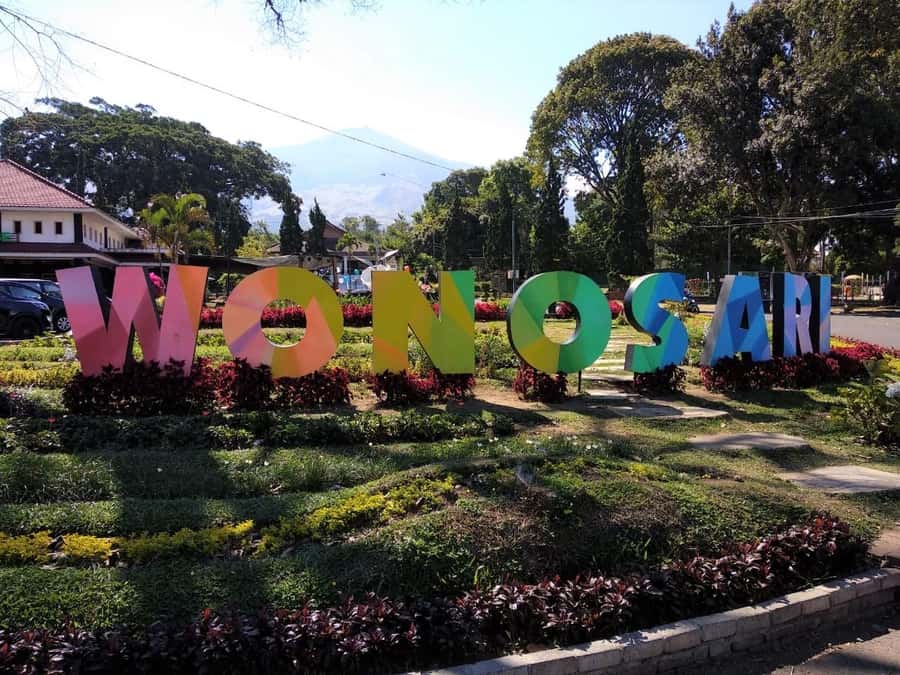Private Trip Malang/Surabaya : Tour Tea Plantation Wonosari - Seeing how picked leaves become tea