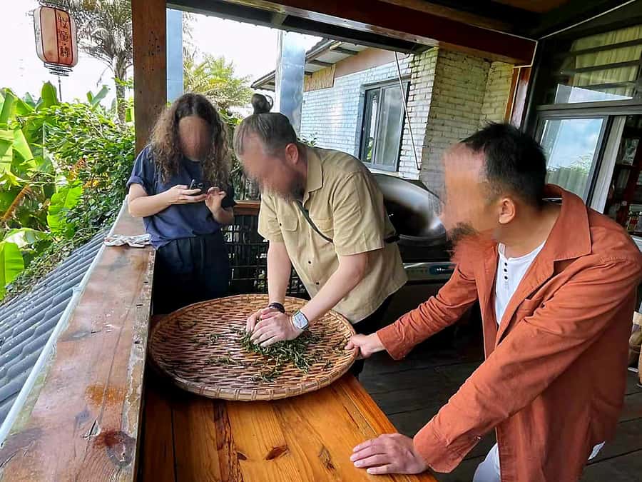 Puer Tea Picking and Tasting | 6 Hour Morning Trip - The drive from Jinghong or Pu’er sets the pace