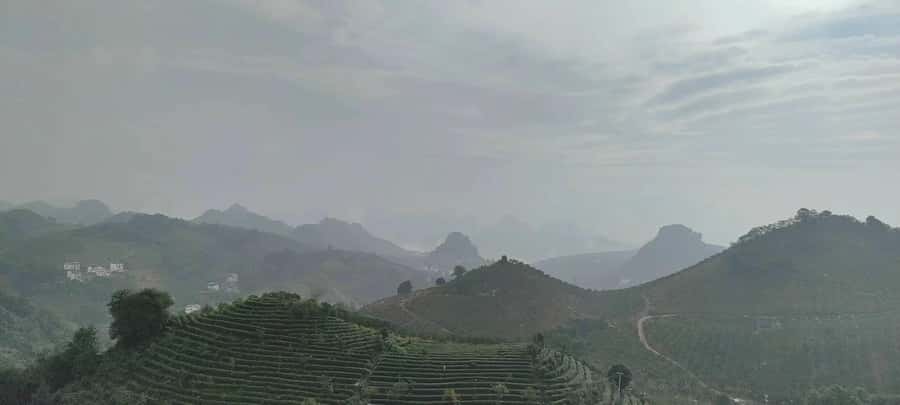Qixianfeng Tea Plantation Tour in Yangshuo - Key points at a glance