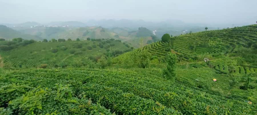 Qixianfeng Tea Plantation Tour in Yangshuo - Leaving Yangshuo for Qixianfeng’s seven hills