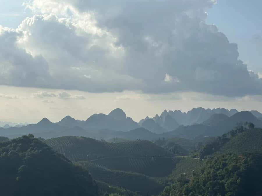 Qixianfeng Tea Plantation Tour in Yangshuo - What the $79 price really covers
