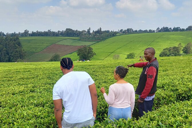 Riara tea farm tour with lunch and tea tasting from Nairobi - Key details before you book
