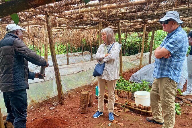 Riara tea farm tour with lunch and tea tasting from Nairobi - From Nairobi streets to Limuru tea country