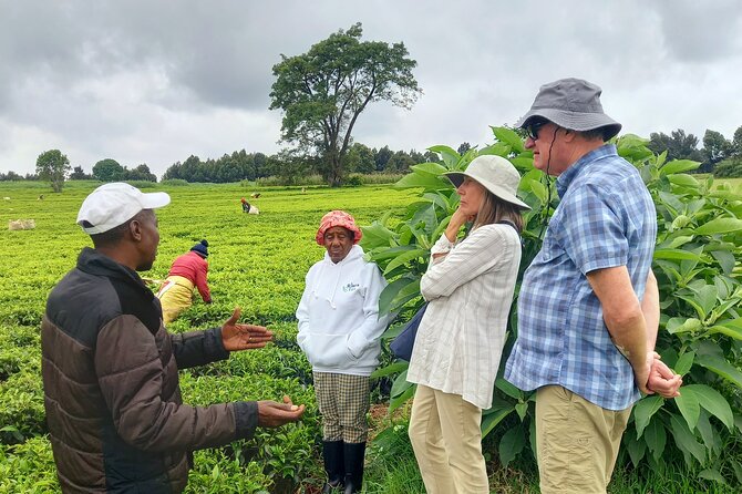 Riara tea farm tour with lunch and tea tasting from Nairobi - Tea tasting with a Kenyan connection