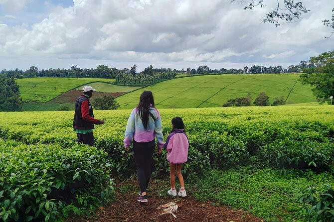 Riara tea farm tour with lunch and tea tasting from Nairobi - Timing, price, and booking advice
