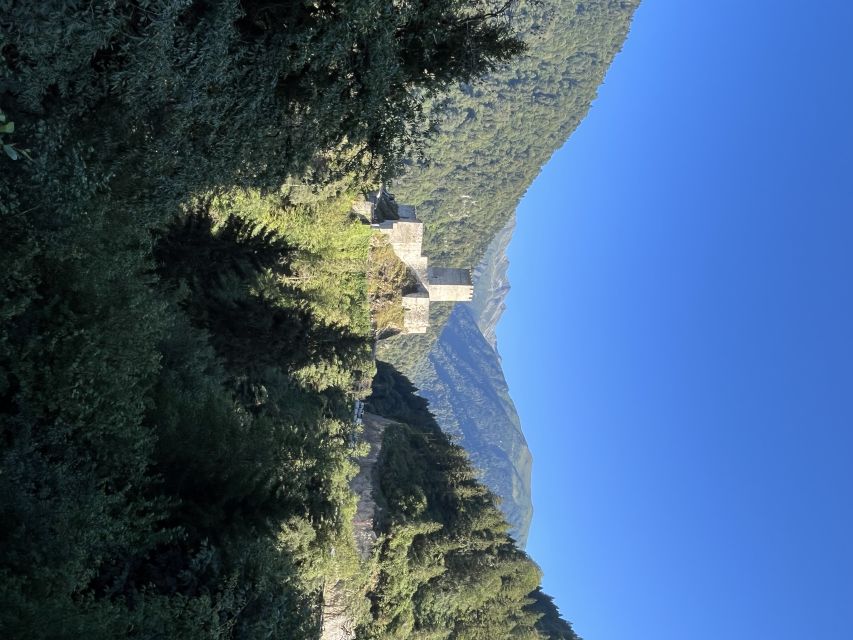 Rize: Ayder Highland Village & Tea Tasting Private Day Trip - Key points to know before booking