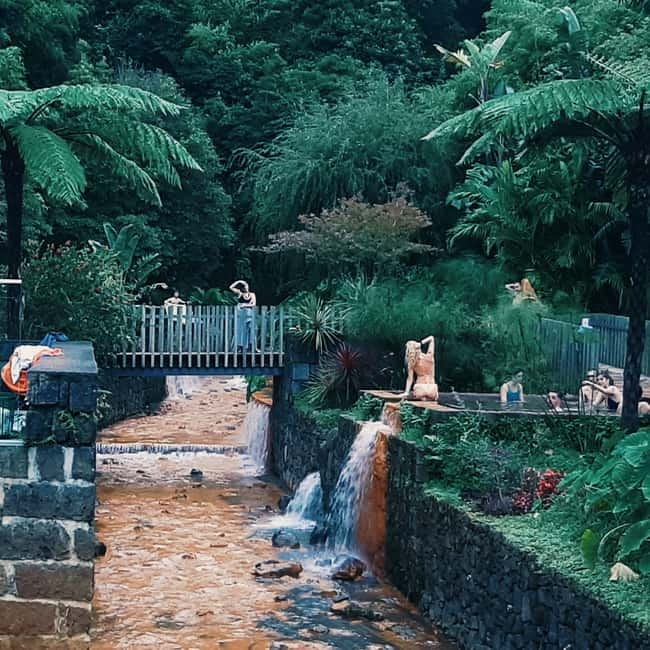 São Miguel: Furnas Volcano & Tea Plantation Tour with Lunch - Key points to know before booking