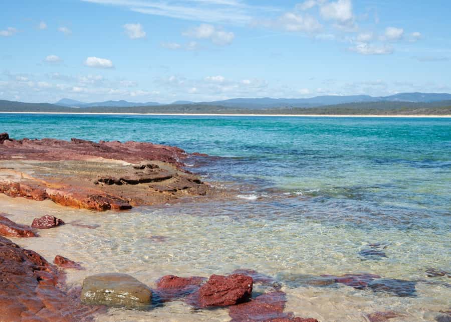 Sapphire Coast: 7h Shore Excursion with Aussie Morning Tea - Forest paths and local wildlife