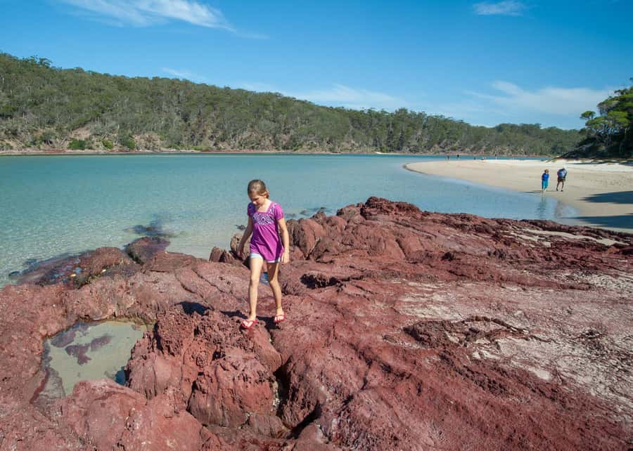 Sapphire Coast: 7h Shore Excursion with Aussie Morning Tea - What $148 gets you
