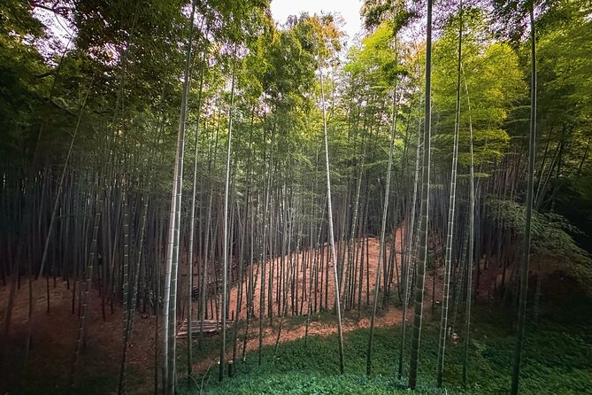 Scenic Green Tea Fields of Hidden Kyoto & Local Tea Exp (Private) - Is $250.38 good value?