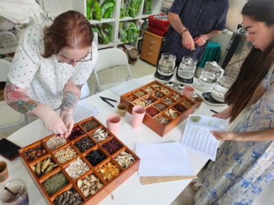 Herbal Tea Class & Korean Medicine Tour
