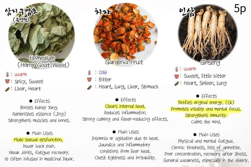 Seoul: Herbal Tea Class & Korean Medicine Tour - Optional foot baths, massage, acupuncture, and clinic visits