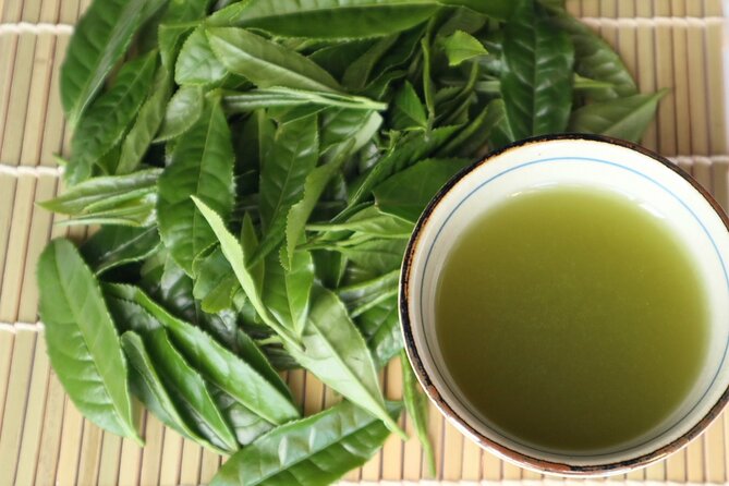 Shizuoka Tea Picking Private Experience - Is two hours enough?