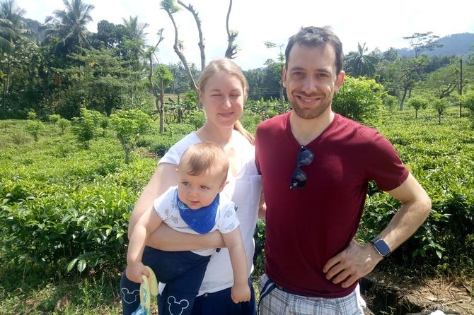 Shore Excursion From Colombo port to Ingiriya Tea Plantation & back for 2 People - Walking among Ceylon tea plants