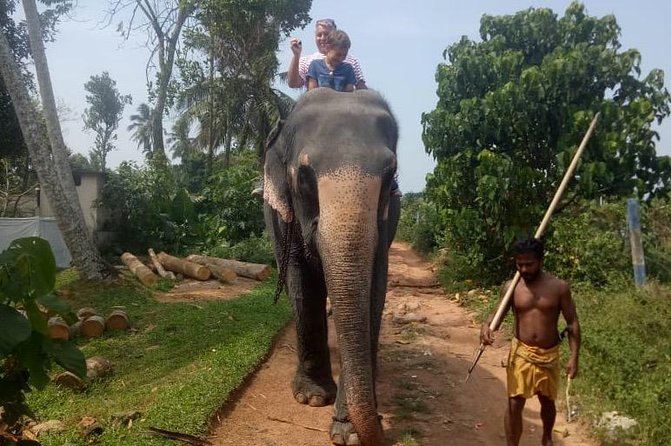 Shore Excursion From Colombo port to Ingiriya Tea Plantation & back for 2 People - The guide and the feel of the day