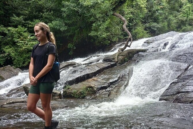 Sinharaja Rain Forest Day Tour from Mirissa, Galle, Bentota Area - Reaching the forest from Sri Lanka’s south coast