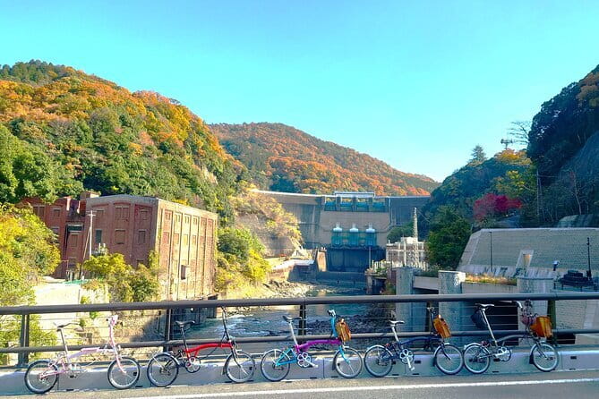 Slow Cycling Tour at Uji's Matcha Green Tea Fields and Heritage - Uji Shrine and Ujigami Shrine