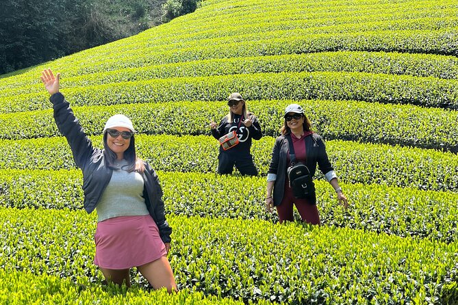 Small Group Japanese Green Tea Tasting in Shizuoka - Key points at a glance