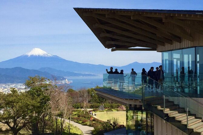 Small Group Japanese Green Tea Tasting in Shizuoka - Nihondaira Yume Terrace and the first Fuji view
