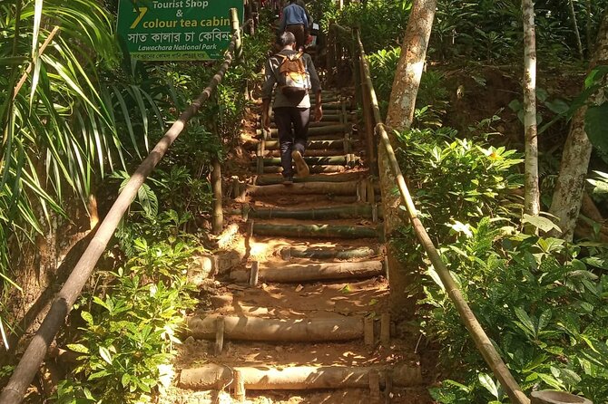Srimangal nature tour in forest and tea garden - The unusual appeal of seven-color tea