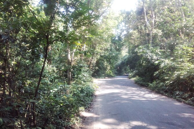 Srimangal nature tour in forest and tea garden - Learning about local tribal life without a rushed group