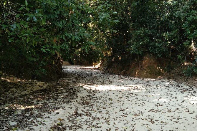 Srimangal nature tour in forest and tea garden - What $50 buys you for nine hours