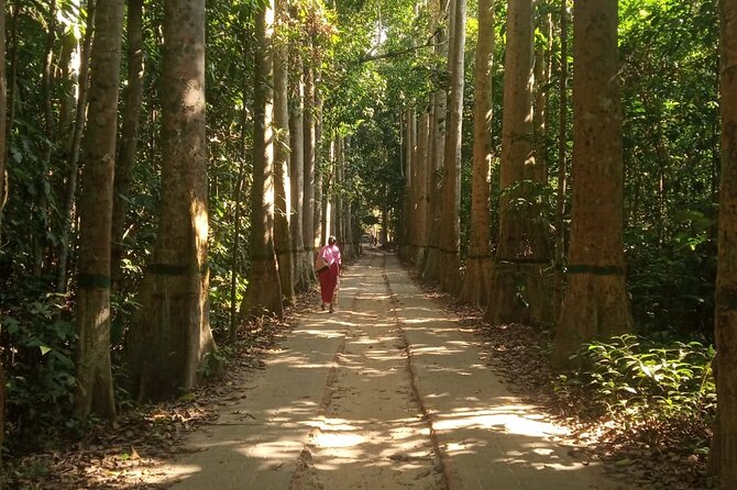 Srimangal nature tour in forest and tea garden - Who will enjoy this day most