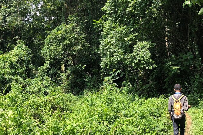 Srimangal nature tour in forest and tea garden - Practical details that can save your day