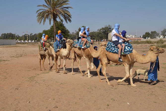 Sunset camel ride in Agadir with transport, tea and cakes. - Key things to know before booking