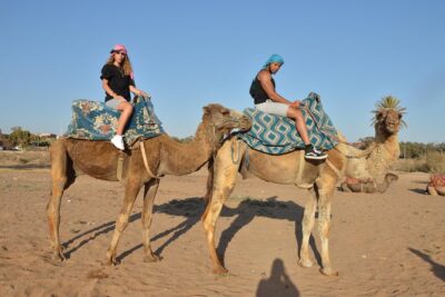 Sunset camel ride in Agadir with transport, tea and cakes.