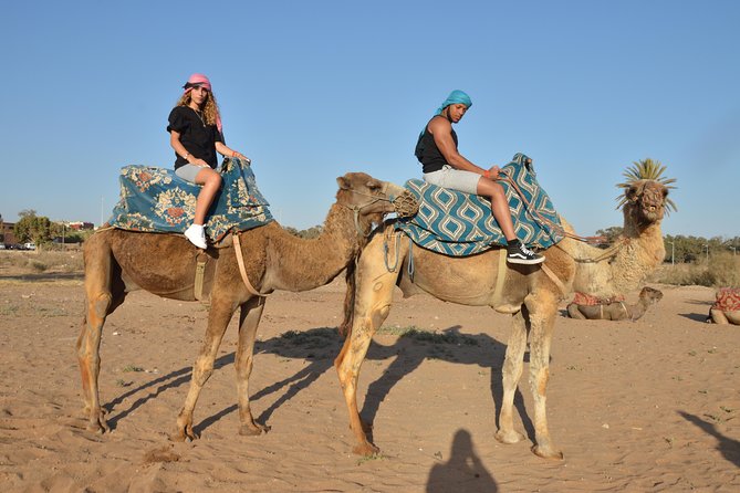 Sunset camel ride in Agadir with transport, tea and cakes. - Riding through the village and eucalyptus trees