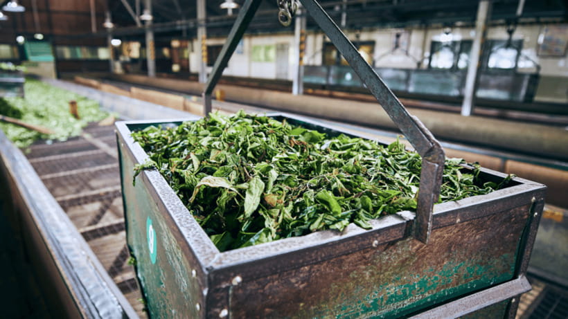 Taipei: Daxi Old Street and Tea Factory, Xiaowulai Day Tour - Key points at a glance