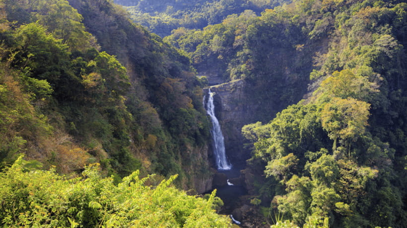 Taipei: Daxi Old Street and Tea Factory, Xiaowulai Day Tour - Jiaoban Mountain Park for fresh air and an easier pace