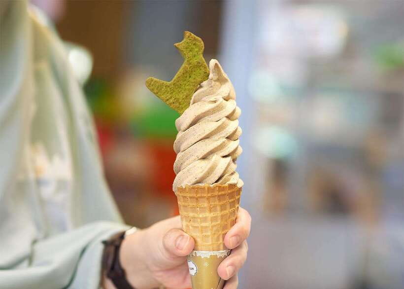 Taipei: Maokong Tea & Shenkeng Tofu Private Day Tour - Who will enjoy this private day tour?