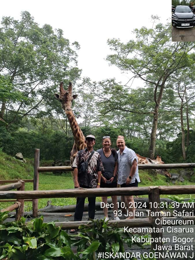 Taman Safari and Tea Plantation Tour at Puncak - Tea, hilltop views, and cooler Puncak weather