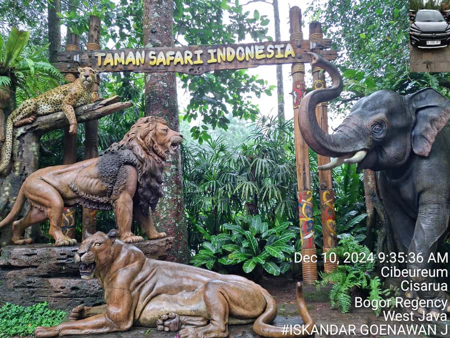Taman Safari and Tea Plantation Tour at Puncak - Lunch and pacing across a 10-hour day