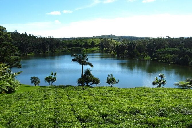 Tea and Culture Route - A private route through southern Mauritius