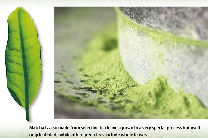 Tea Ceremony Workshop in Tokyo by the Experienced Instrucor - Is the Price Fair at $38.47?