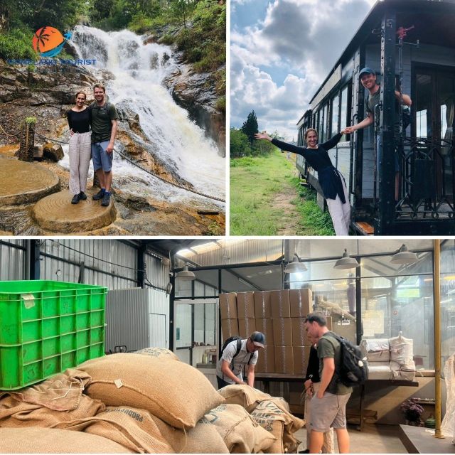 Tea & Coffee Tour - Following coffee from Arabica plant to finished product