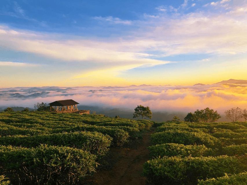 Tea & Coffee Tour - Starting with Dalat Railway Station at 8:30 am
