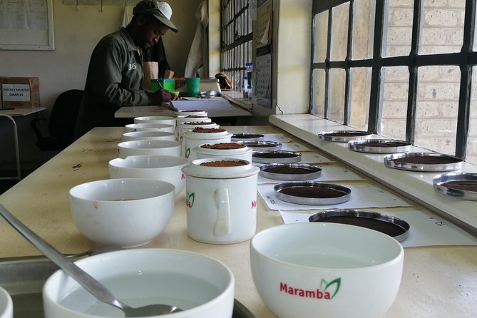 Tea Farm Experience at Riara Tea Farm And Factory Tour - Is $130 good value?