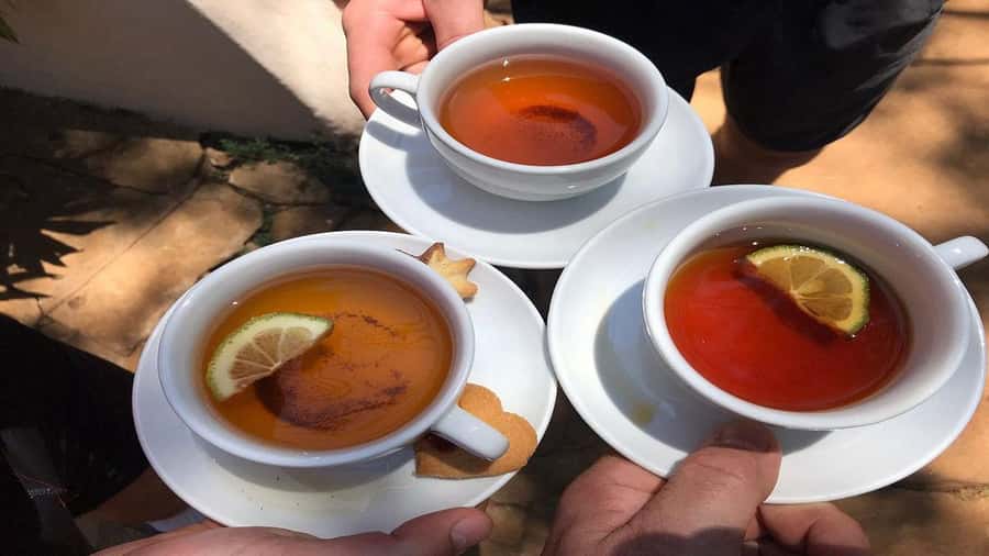 Tea Farm Tour From Nairobi (Kiambethu). - The tea fields and views toward the Ngong Hills
