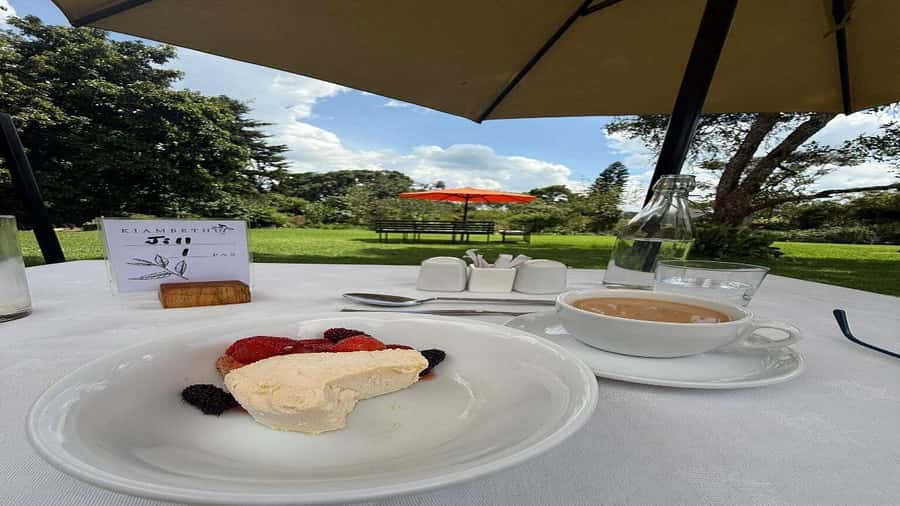 Tea Farm Tour From Nairobi (Kiambethu). - The indigenous forest walk and its traditional plant uses