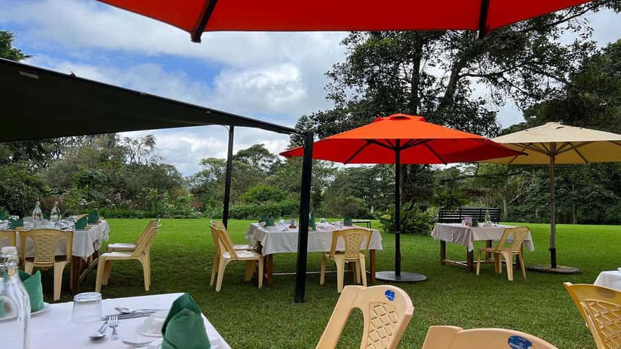 Tea Farm Tour From Nairobi (Kiambethu). - A verandah drink before the three-course lunch
