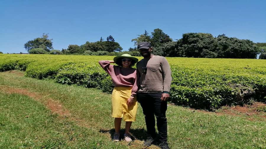 Tea Farm Tour From Nairobi (Kiambethu). - Price, inclusions, and what you really pay for