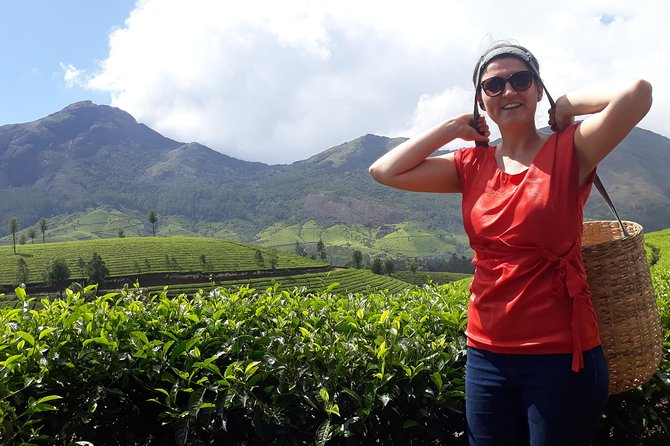Tea Farm Tourism - Key points at a glance
