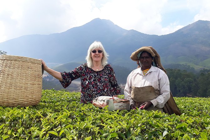 Tea Farm Tourism - Why Munnar is the right place for a tea tour