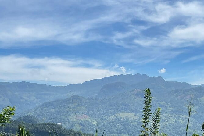 Tea Loops E-Biking - The big views: Bogawanthalawa, Maskeliya, and Adams Peak